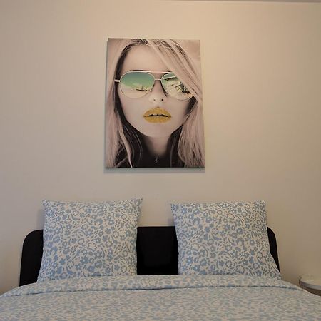 Le Vauban - Appartement 2 Chambres, Salon, Cuisine Equipee, Parking Et Wifi Gratuit Mulhouse Eksteriør bilde